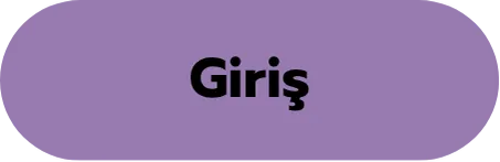 Giriş